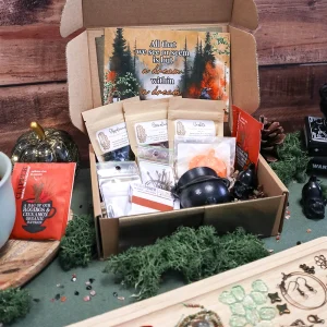 Box Halloween Samhain DIY bijoux en pierres naturelles – L'Instant Daydream